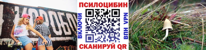 Галлюциногенные грибы мухоморы  Дно 